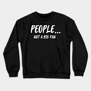 Funny People Not A Big Fan Introvert Sarcasm 3 Crewneck Sweatshirt